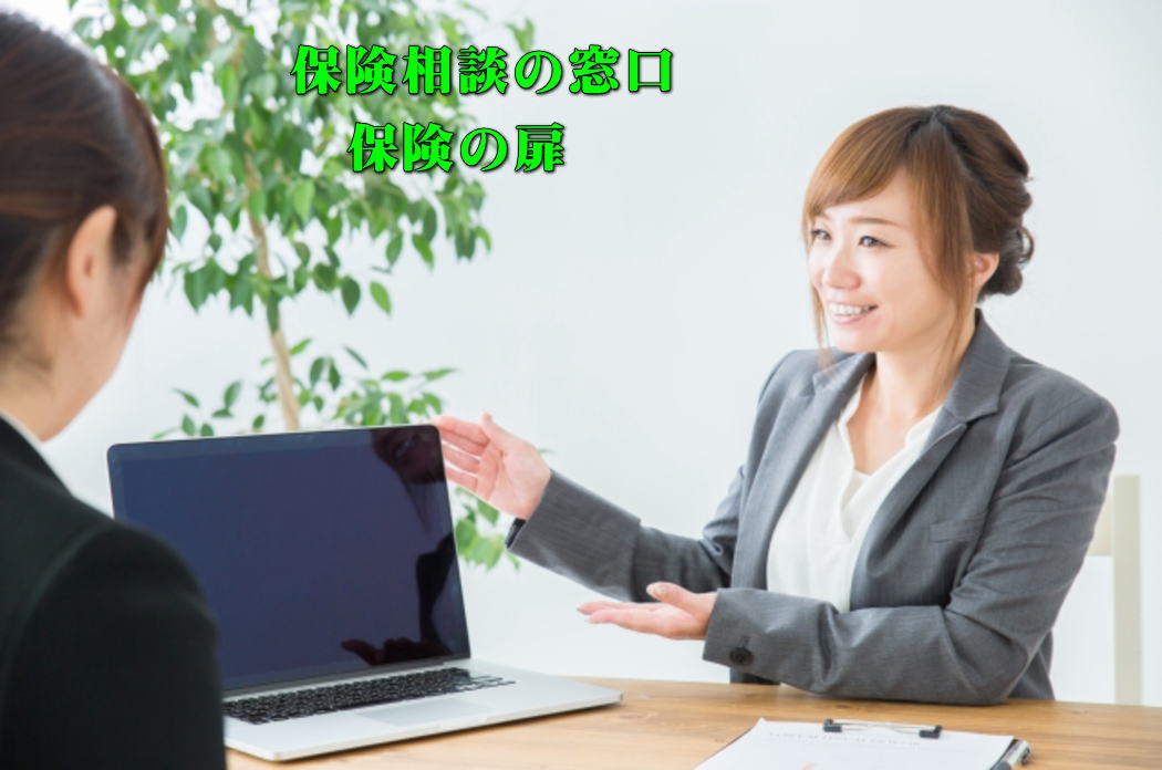 �ی����k�̑��� �ی��̔�